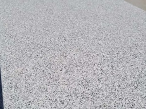 山东白麻